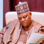 Nigeria working to overtake world economies, says Shettima